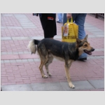 29_096 Moscou.jpg